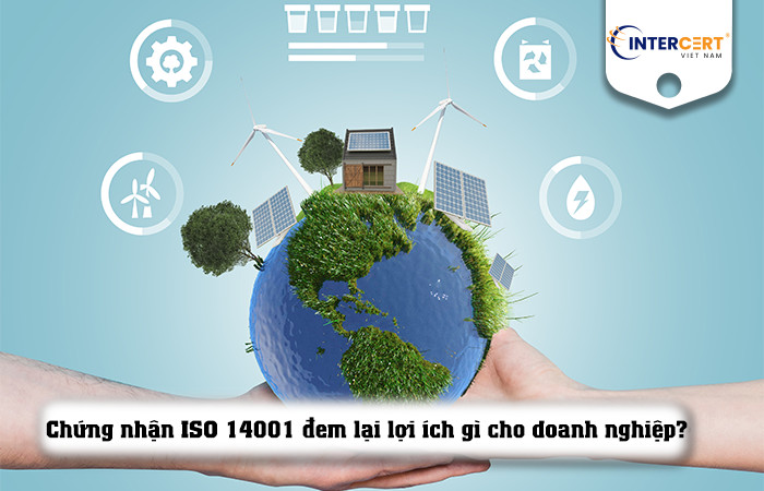 "chứng